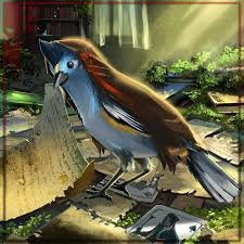 Cayde the bird