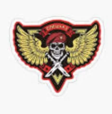 The Spetsnaz